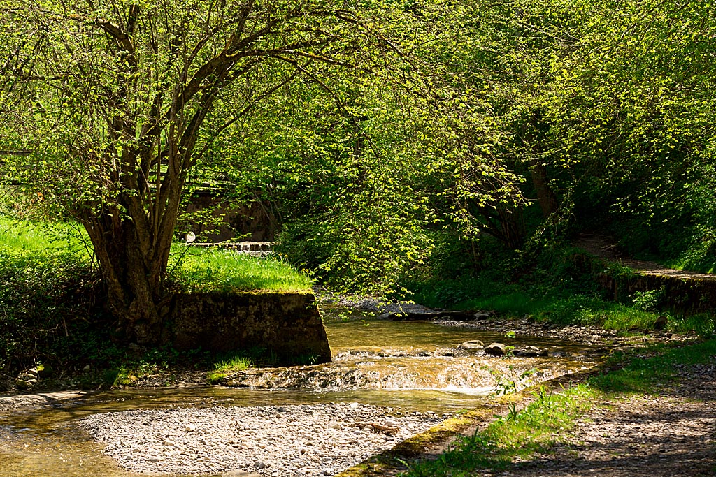 Ferienwohnung_Lore_Allgaeu_hausbach_3